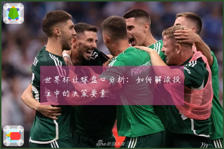 世界杯让球盘口分析：如何解读投注中的决策要素