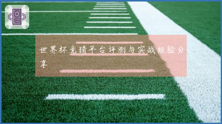 世界杯竞猜平台评测与实战经验分享