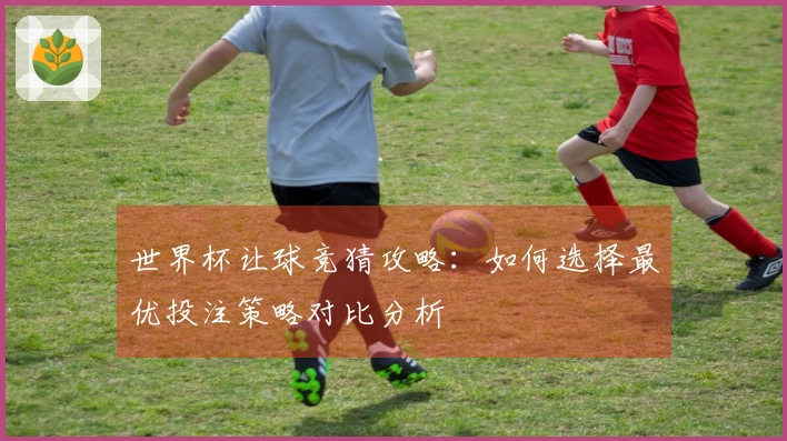 世界杯让球竞猜攻略：如何选择最优投注策略对比分析